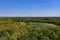 The forest of Itasca State Park in Minnesota