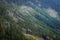 Forest in Karkonosze Mountains