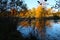 Forest lake in autumn colors