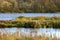 Forest lake in autumn colors