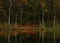 A forest lake in autumn in Sweden