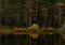 A forest lake in autumn in Sweden