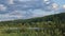 Forest lake in central Ukraine