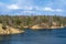 Forest lake with dry yellow coastal vegetation in early spring, blue water and cloudy picturesque sky. Background