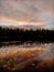Forest lake at dusk