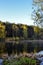 Forest lake in the early morning. Reeds, calm water and wood are reflected in the water