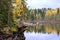 Forest, lake, fresh air and rocks