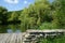 Forest lake in the mountains overgrown with weeping willows