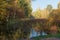 Forest lake overgrown with reed-mace at autumn day