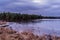 Forest lake with a shallow ice patch. Spruce grows on the shore and there is dry grass. Night scene of autumn