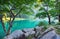 Forest and lake in the Switzerland mountain valley. Tree and water.