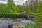 Forest lake with waterfalls