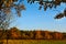 Forest land in autumn colors