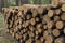 forest land harvesting of firewood for business for sale