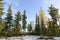 forest landscape in autumn in the Russian taiga