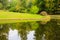 Forest landscape, beautiful lake in forest in national park Sofiyivka in Uman, Ukraine, trees are reflected in the water. Spring,