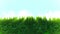 Forest landscape graphic, Abstract nature background, Loop animation,