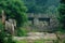 Forest landscape in park of Mountain Taishan