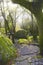 Forest landscape in Penha in Guimaraes