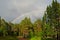 Forest landscape with a rainbow on dark stormy sky on a summer day. Horizontal photo. The concept of peace and tranquility