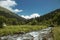 Forest landscape. A stormy mountain river flows through a clearing in the forest. In the distance you can see mountains and a blue