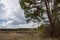 Forest landscape in the Urals