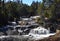 Forest landscape with a waterfall surrounded by evergreen trees