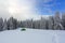 In the forest on the lawn green touristic tent stands with wide path to it. Amazing landscape on the cold winter day.