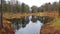 In the forest, the leaves on the trees turned yellow on the shore of small a natural reservoir