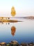 In the forest, the leaves on the trees turned yellow on the shore of small a natural reservoir