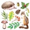 Forest life watercolor set. Illustration on white background with hedgehogs, chipmunk, beetle, mushroom and leaves.