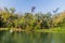 Forest lining the Rio Dulce river, Guatema