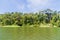 Forest lining the Rio Dulce river, Guatema