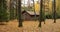 Forest lodge in backwoods, wild area in beautiful forest in Autumn, Valday national park, yellow leafs at the ground