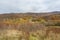 Forest and meadow on a cold cloudy autumn day