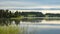 Forest and meadow reflection in mini lake in central Sweden