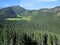 Forest and meadow in the Tatra Mountains, Poland