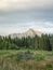 Forest meadow, trees and mount Krivan peak Slovak symbol in distance, lit by summer evening sun