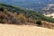 Forest and meadows in Spanish mountains