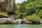 Forest meeting with rocks and the sea in Trindade