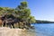 The forest meets the sea in Chalkidiki, Greece