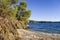 The forest meets the sea in Chalkidiki, Greece