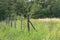 Forest mesh fence in Poland