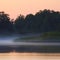 Forest and Misty Morning Stillness