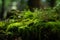 Forest moss macro. Generate Ai