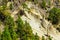 Forest on Mounains on Tenerife Island