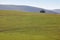 Forest mountain landscape in Asturias. Nature tourism in Spain