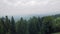 Forest And Mountain Landscape Clouds