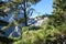 forest and mountain landscape, trails of travelers and mountains in the distance. Wooden bridges and streams