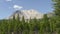 Forest and Mountain Peak at Lassen Volcanic National Park